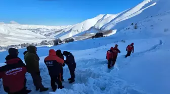 Artvin'de çığda kaybolan çoban için arama çalışmaları durduruldu