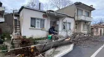 Çanakkale'de lodos fırtınasında devrilen ağaç evin çatısına zarar verdi