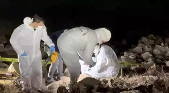 Elif Kumal'ın cansız bedeni 8 metre derinlikteki aracının içinde bulundu