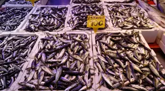 'Kar ve fırtına' nedeniyle balıkçılar ava çıkamadı, tezgahlarda çeşitlilik azaldı