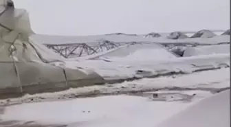 Mardin'de Kar Yağışı Sonrası Ahır Çöktü: 10 Koyun Öldü