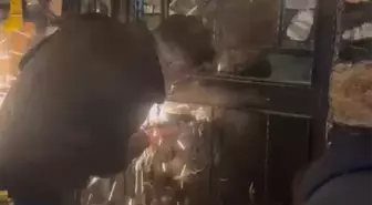 Polis spiralle kapıyı keserek baskın yaptı; 43 kişiye 498 bin lira kumar cezası