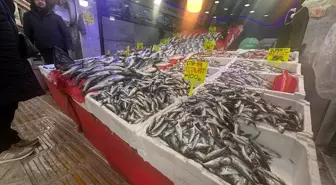 Samsun'da hamsinin kilogramı 130-150 liradan satılıyor