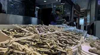Trabzon'da balıkçı tezgahlarında hamsi ve istavrit ilgi görüyor