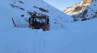 Van'da çığ düşmesi sonrası kapanan yol açıldı