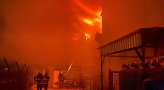 Antalya'da soğuk hava deposunda çıkan yangına müdahale ediliyor