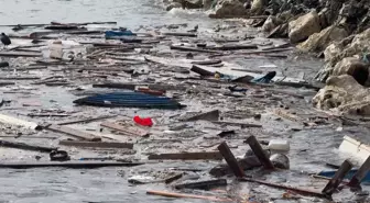 Avcılar'da lodosla kıyıya taşınan yosun ve çöpler temizlendi