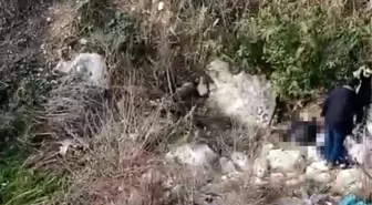 Balıkesir'den kayıp olarak aranan şahsın cesedi Mersin'de bulundu