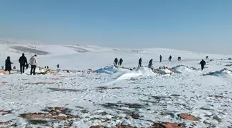 Batman'da yaban hayvanları için doğaya 1 ton yem bırakıldı
