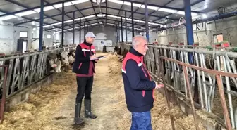 Besicilik işletmelerine yönelik 'kapasite ölçümleri' devam ediyor