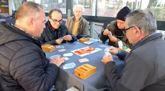 Burhaniye'de Briç Federasyon Turnuvası düzenlendi