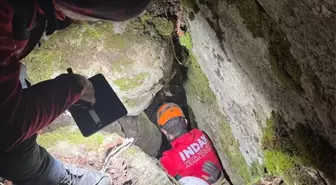 Bursa'da kayalıkta mahsur kalan 2 av köpeği kurtarıldı