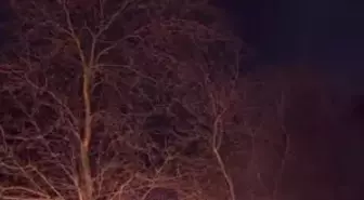 Bursa'da kontrolden çıkan otomobil önce ağaca çarptı sonra alev aldı