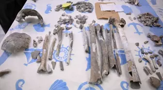 Çayönü Tepesi'nde yaşayan insanların genetik haritası çıkarılıyor