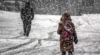 Eğitime kar engeli! Çok sayıda ilde okullar tatil edildi