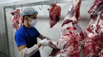 Gaziantep'te öğrenciler günde 12 bin kişiye yemek hazırlıyor