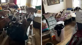 Kapı açılınca karşılaşılan manzara şoke etti