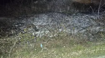 Küçük çaplı ot yangını erken müdahaleyle söndürüldü