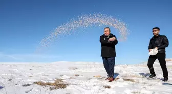 Malatya'da yaban hayvanları için doğaya yem bırakıldı