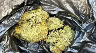 Şüpheli araçtan 50 gram esrar çıktı