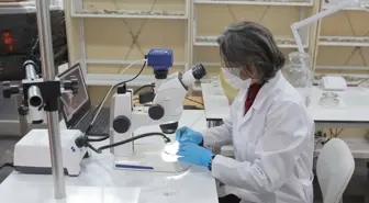 Tarihi Kayseri Kalesi'ndeki müzeye konservasyon laboratuvarı kuruldu