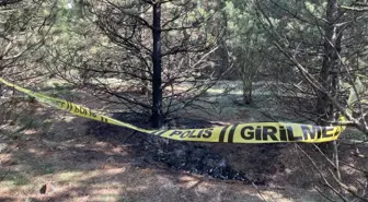 Tartıştığı sevgilisini boğarak öldürüp, cesedini 2 kez benzin dökerek yakmış