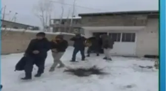 Van'da göçmen kaçakçılığı operasyonu; 6 gözaltı