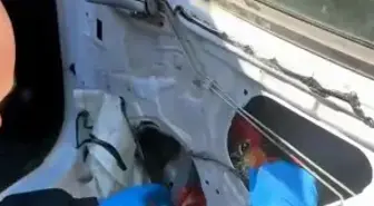 Aracında 66 bin 600 uyuşturucu hap ele geçirildi; 'Babam hastaydı, ziyarete gidiyordum' dedi