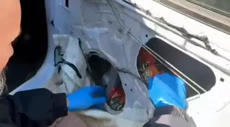 Aracında 66 bin 600 uyuşturucu hap ele geçirildi; 'Babam hastaydı, ziyarete gidiyordum' dedi