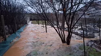 Balkanlar'da şiddetli yağışlar sellere neden oldu