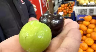 Bu meyveler aşerenler için Singapur'dan geliyor