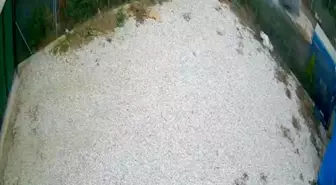 Direksiyon hakimiyetini kaybeden sürücü ölümden böyle döndü