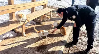 Gölbaşı ilçesinde polisler sokak hayvanları için mama bıraktı