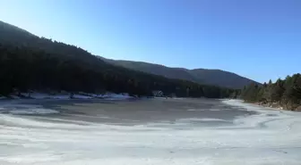 Bolu Gölcük Tabiat Parkı'ndaki Göl Buz Tutdu