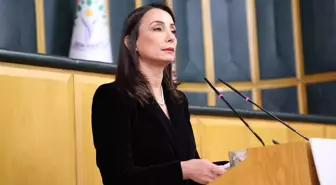 Hatimoğulları: İlk etapta Öcalan'a özgür iletişim koşulları sağlanmalıdır