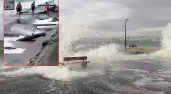 Megakentte lodosa rağmen denize girmenin bedeli ağır oldu