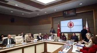 TBMM'de Suça Sürüklenen Çocuklar İçin Araştırma Komisyonu Toplandı