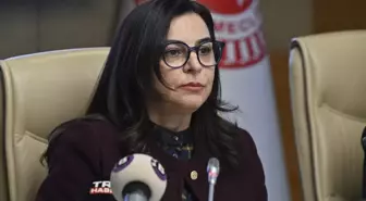 TBMM Suça Sürüklenen Çocuklara İlişkin Araştırma Komisyonu toplandı