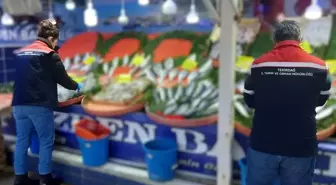 Tekirdağ'da su ürünlerine sıkı denetim