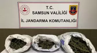 Çarşamba'da uyuşturucu operasyonunda 1 gözaltı
