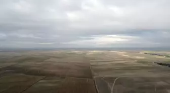 DSİ, Eskişehir ve Kütahya'da toplulaştırma çalışmalarına devam ediyor