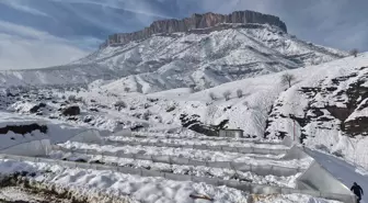 Hakkari'de kar nedeniyle seralar çöktü