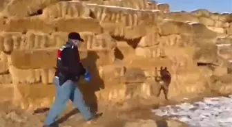 Kayseri'de saman balyaları arasında 1,4 kilo esrar ele geçirildi; 3 gözaltı