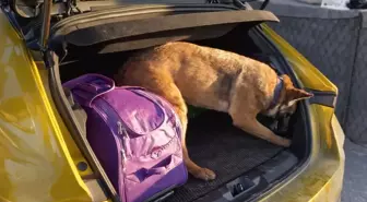 Otomobilde uyuşturucu ile yakalanan 5 kişiye gözaltı