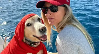 Bodrum'da Çinko İsimli Köpeği Çarpan Sürücü Yargılanmaya Başlandı