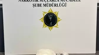 Samsun'da bagaja gizlenen uyuşturucuyu hasas burunlu köpek 'Pera' buldu