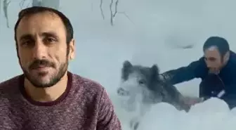 Yaban domuzunu çıplak elle yakalayan adam: Kimseye tavsiye etmem