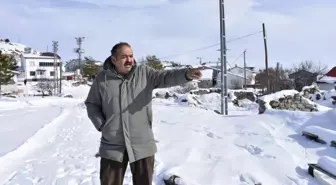 Yaban hayvanları, köpeksiz köyü mesken tuttu