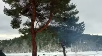 Yağan kar sonrası Adliye Göledi piknikçilerin akınına uğradı