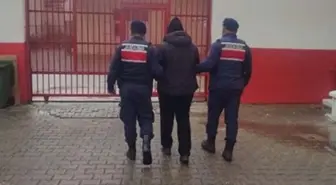 Aydın'da FETÖ hükümlüsü yakalandı